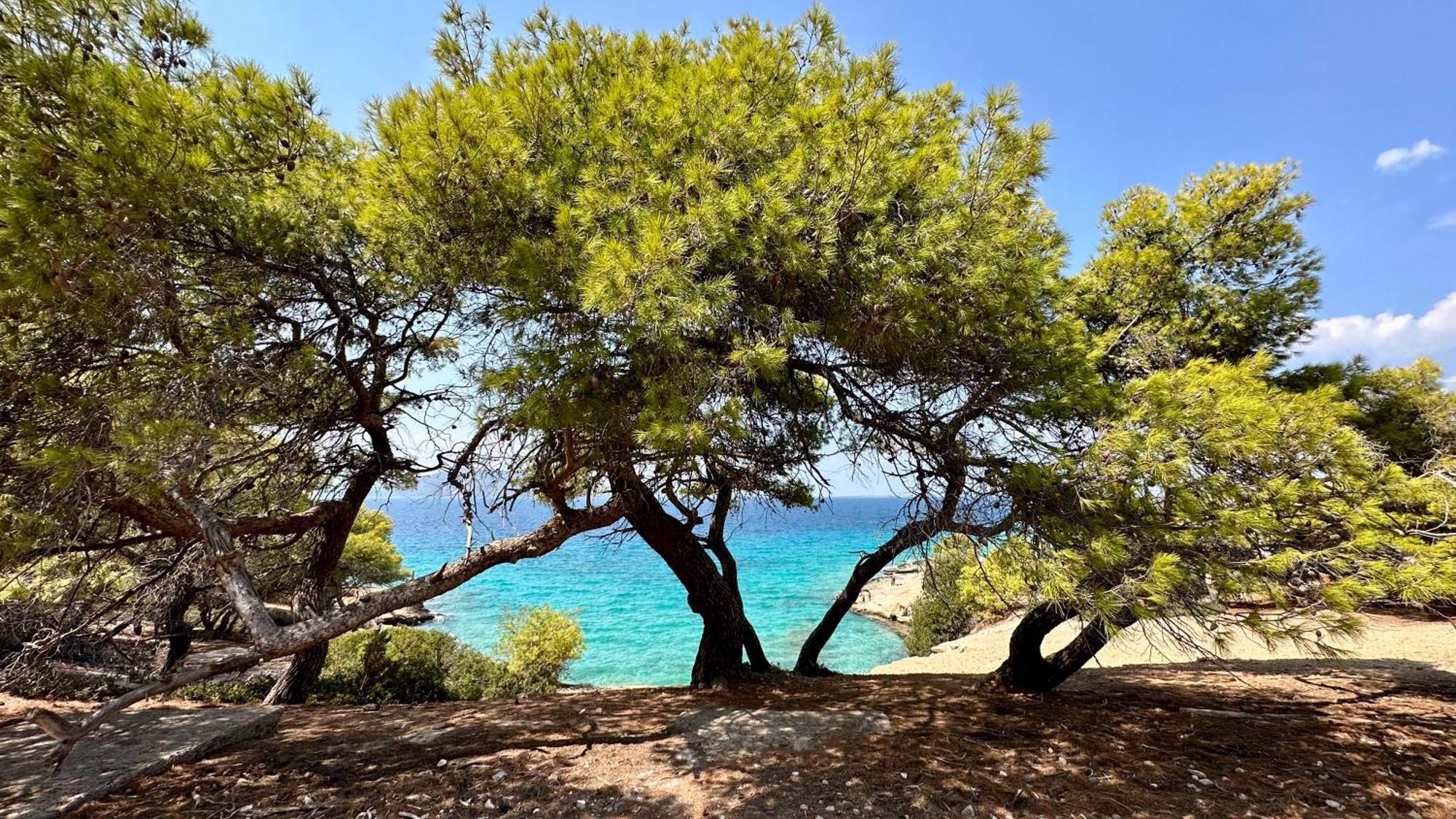 Appartement Vue Sur Mer Soul Family, Egine Aegina 외부 사진